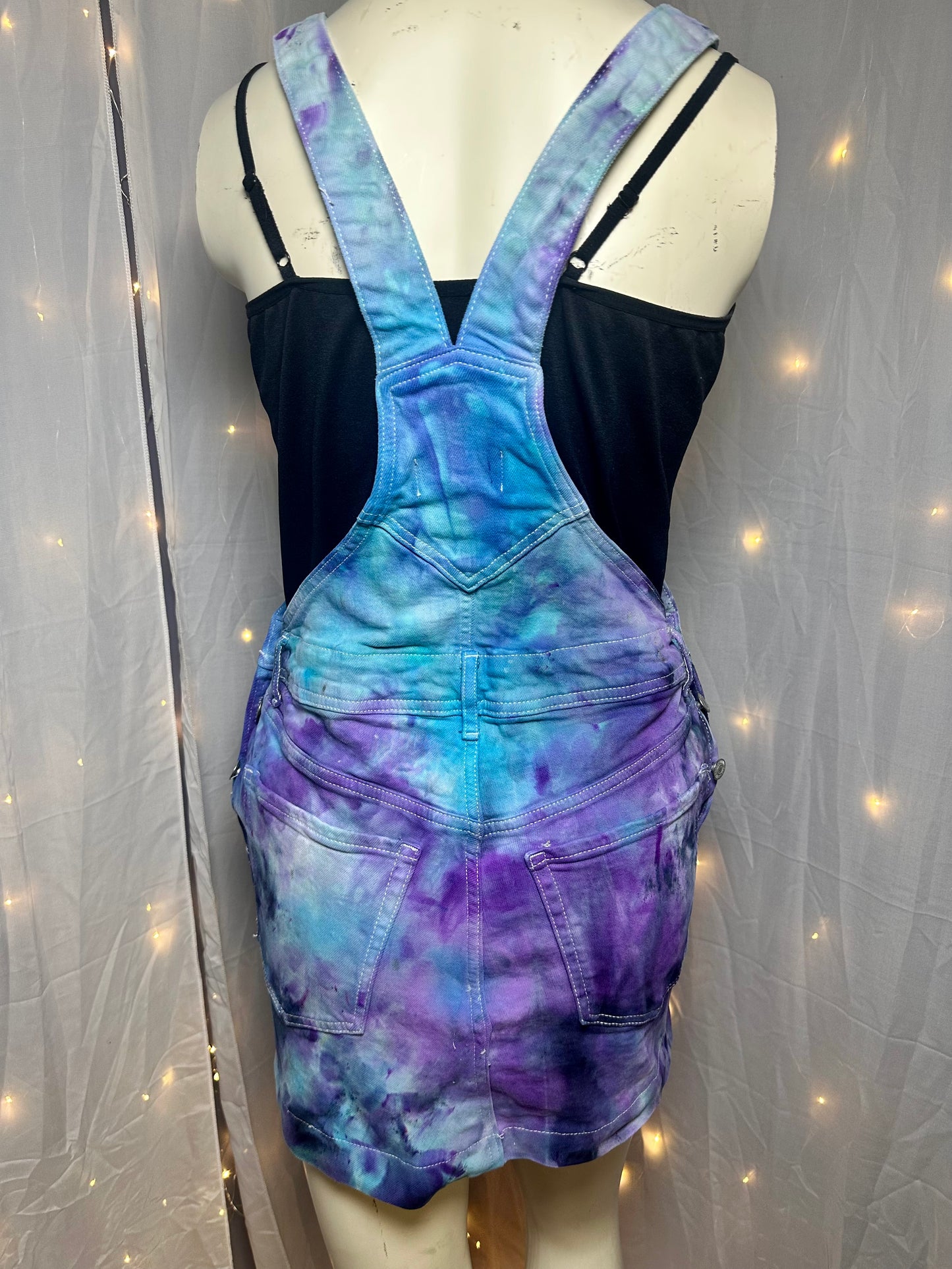 Size 4 Galaxy Garden Overall Mini Skirt