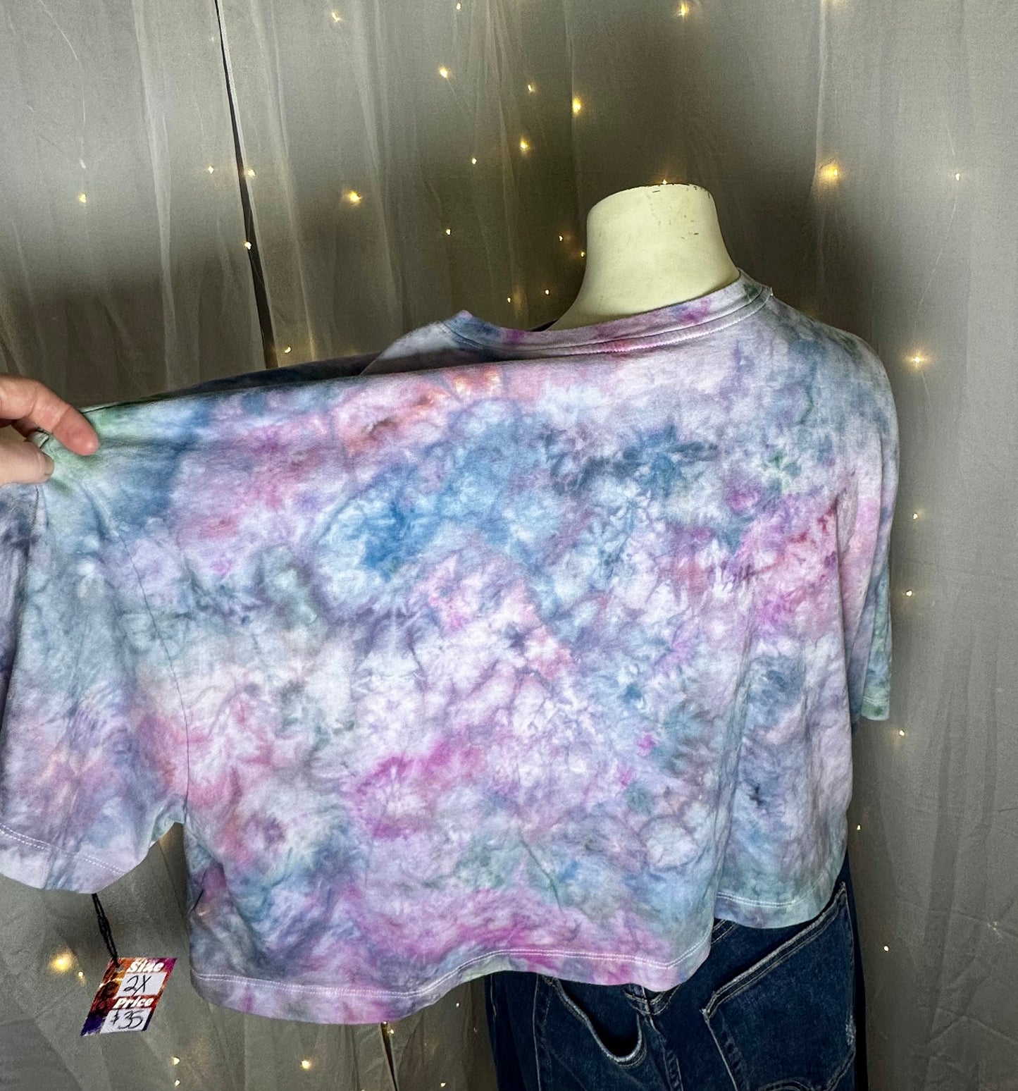2X Enchanted Fairy Garden Bloom Crop Top