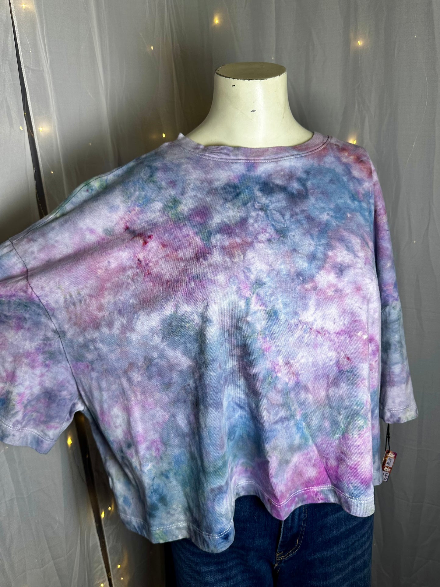 2X Enchanted Fairy Garden Bloom Crop Top
