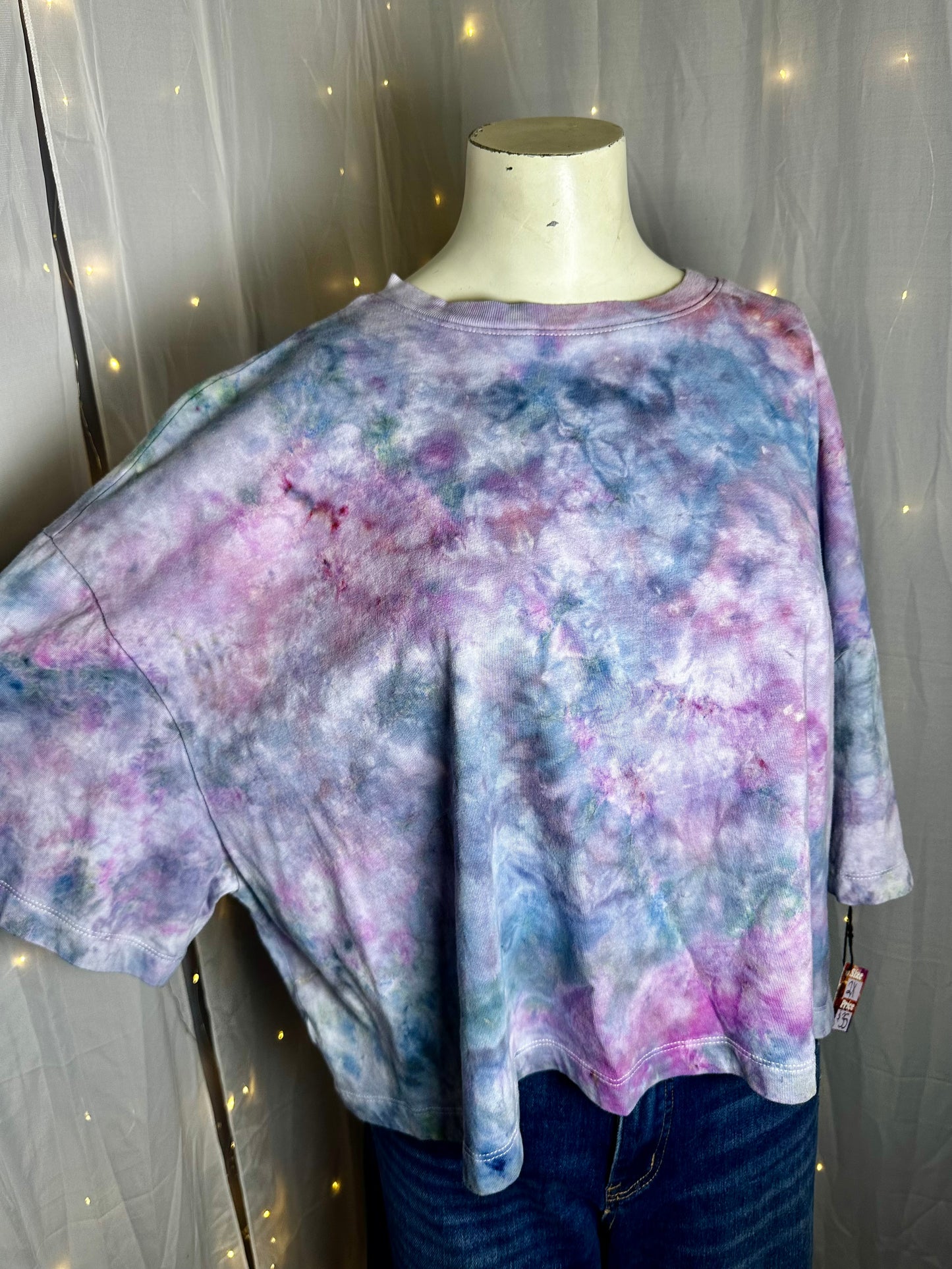 2X Enchanted Fairy Garden Bloom Crop Top